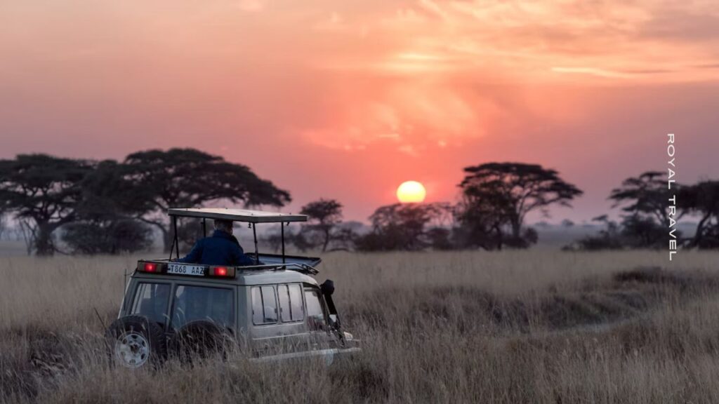 Wildlife Safaris in Africa