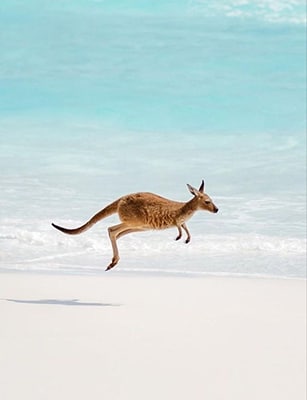 Kangaroo Island
