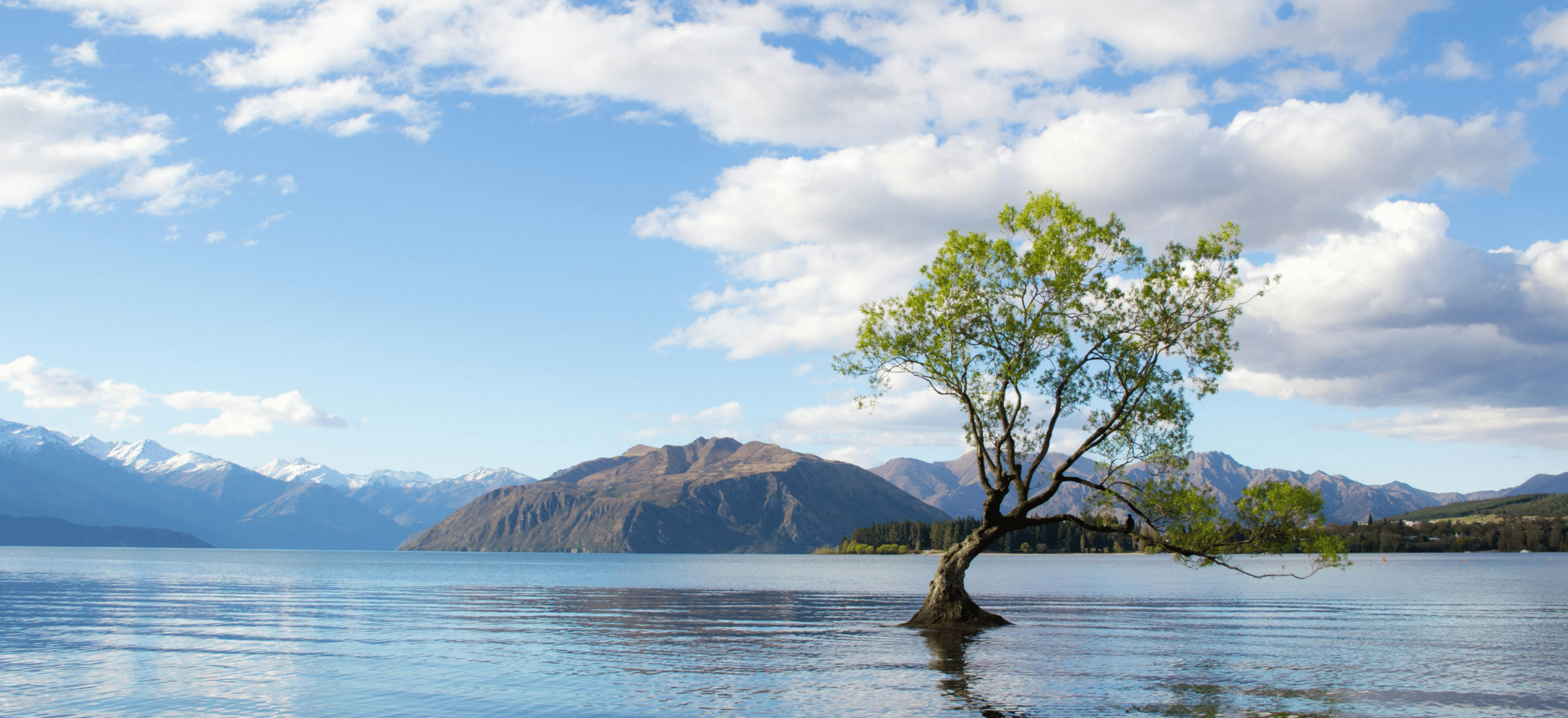 New Zealand