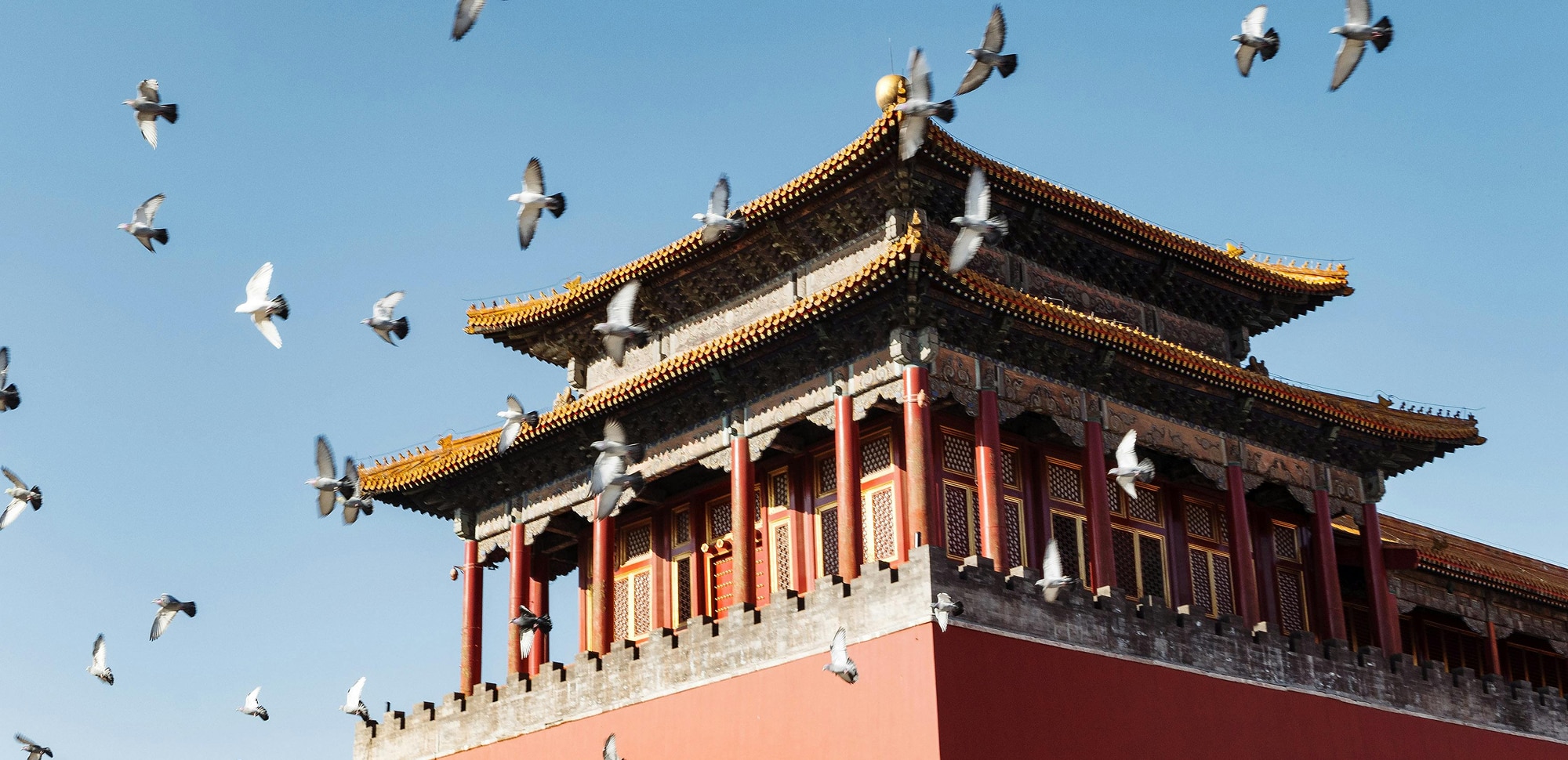 The Forbidden City