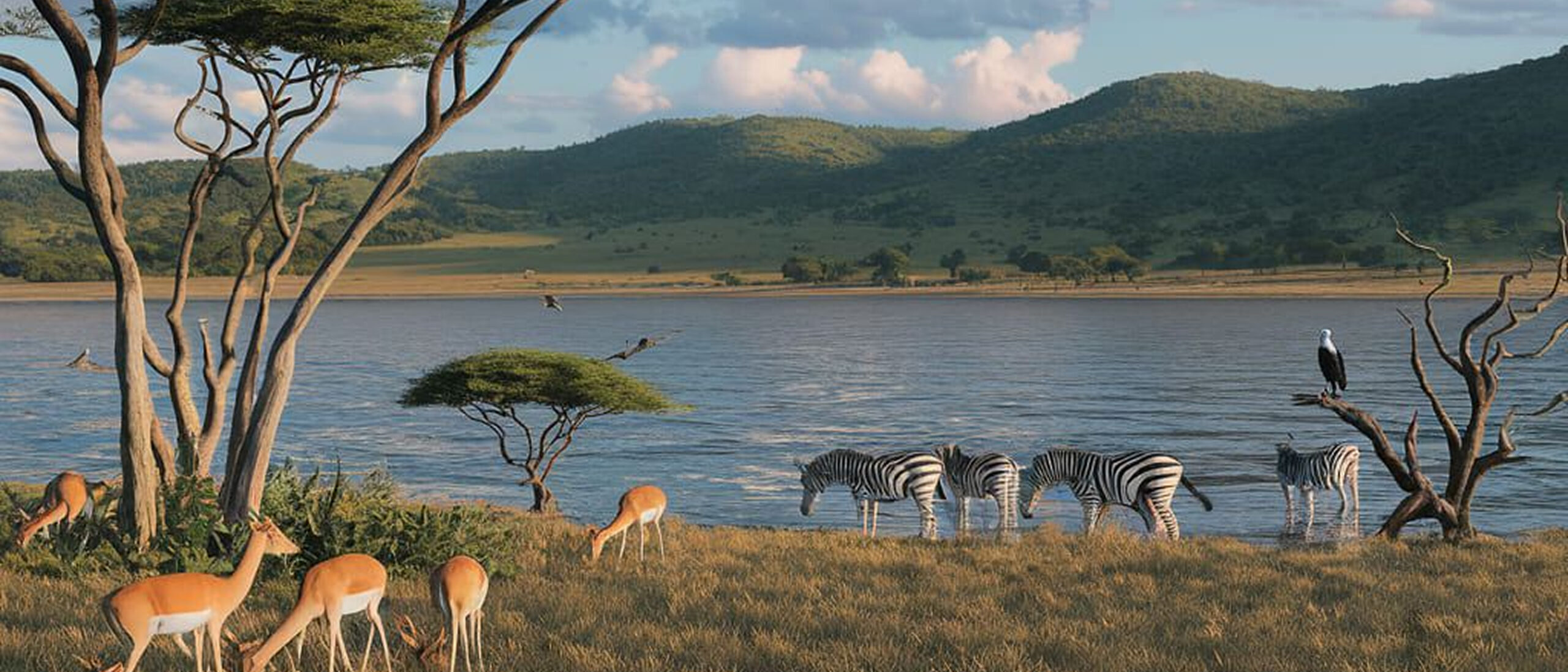 Uganda