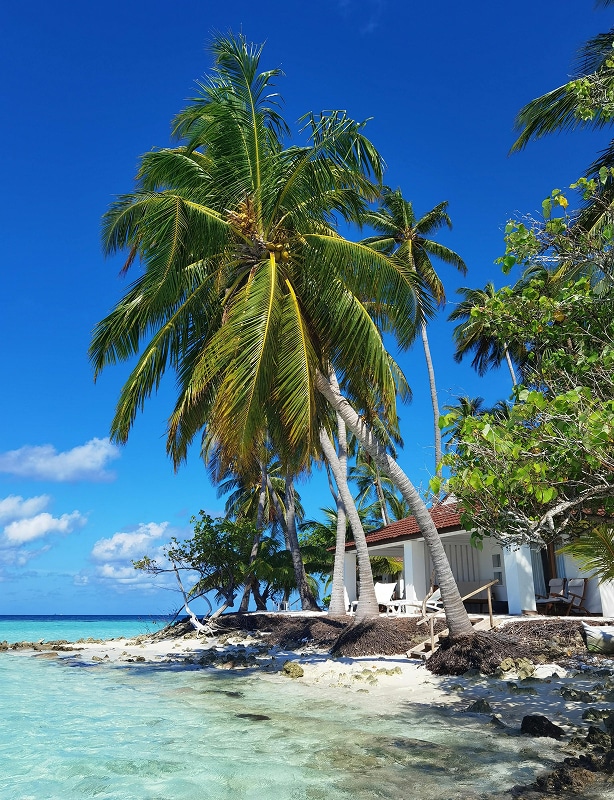 Best of Panama Tour Feature