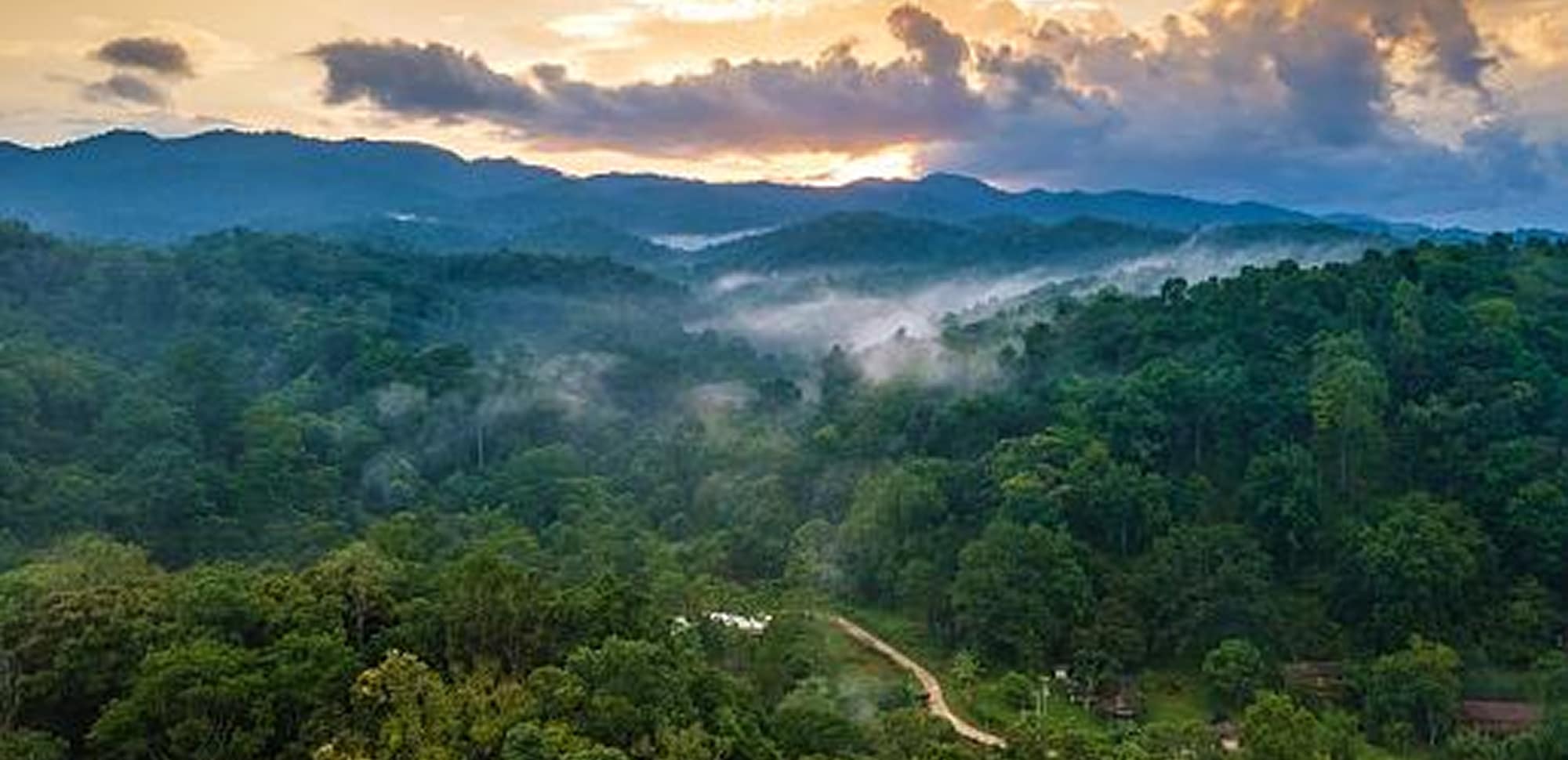 Environment of Jungle Retreat