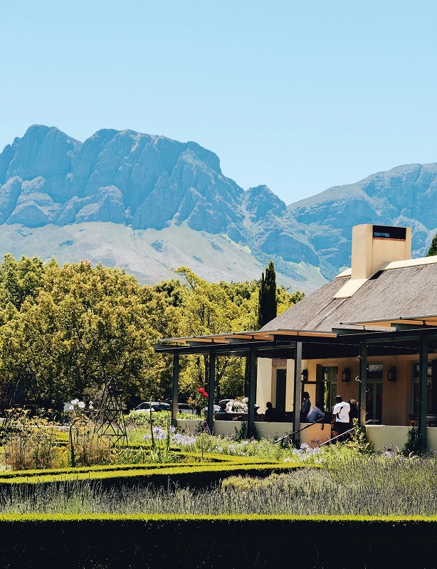 Garden Route and Cape Winelands Feature