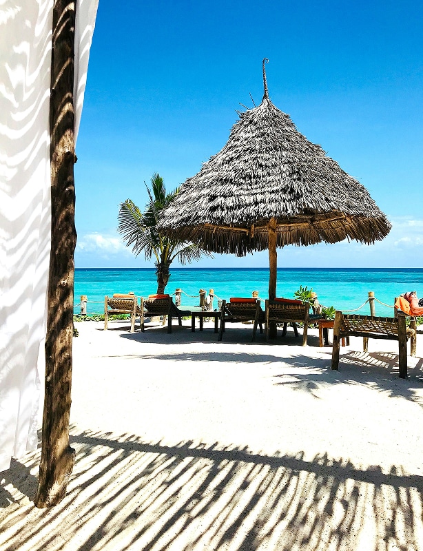 Luxury Tanzania Safari Feature