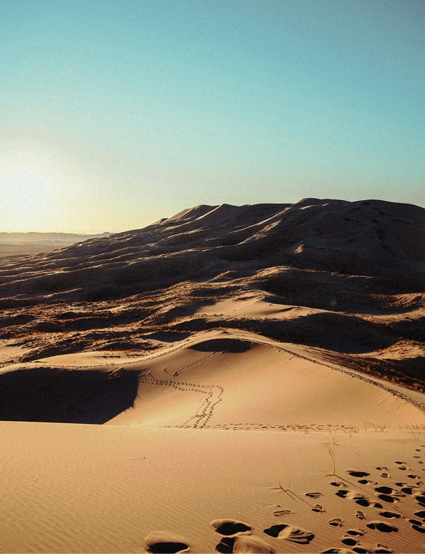 Mongolia Gobi Desert Tour Feature
