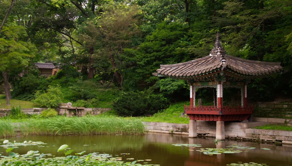 Nara Park , Nara