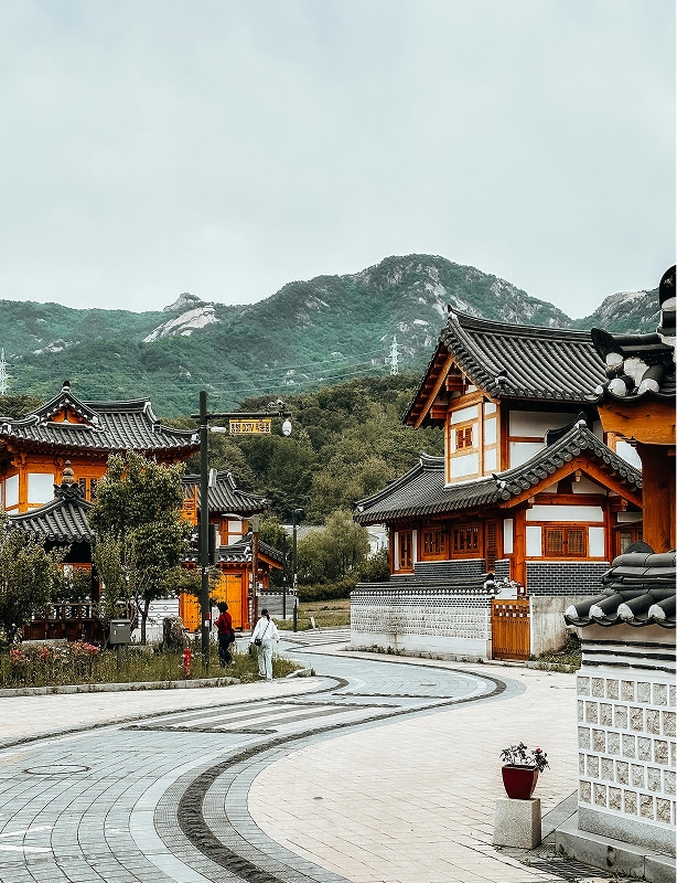 Seoul DMZ Tour & Temple Stay Feature