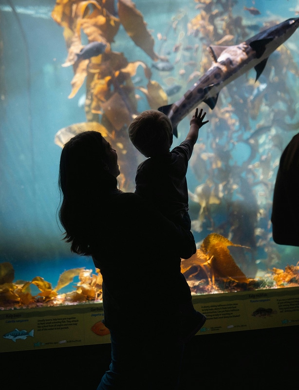 Singapore Family Vacation Fearure