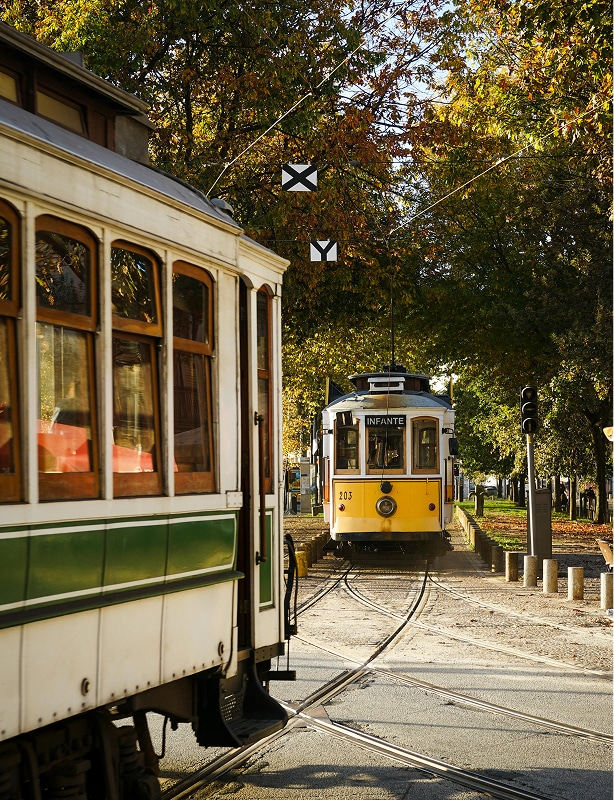 South Korea Family Tour Feature