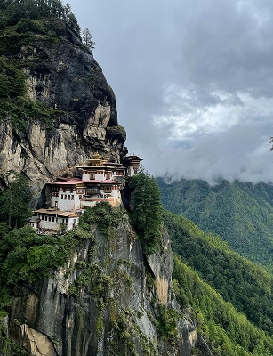 Bhutan Tiger's Nesttt