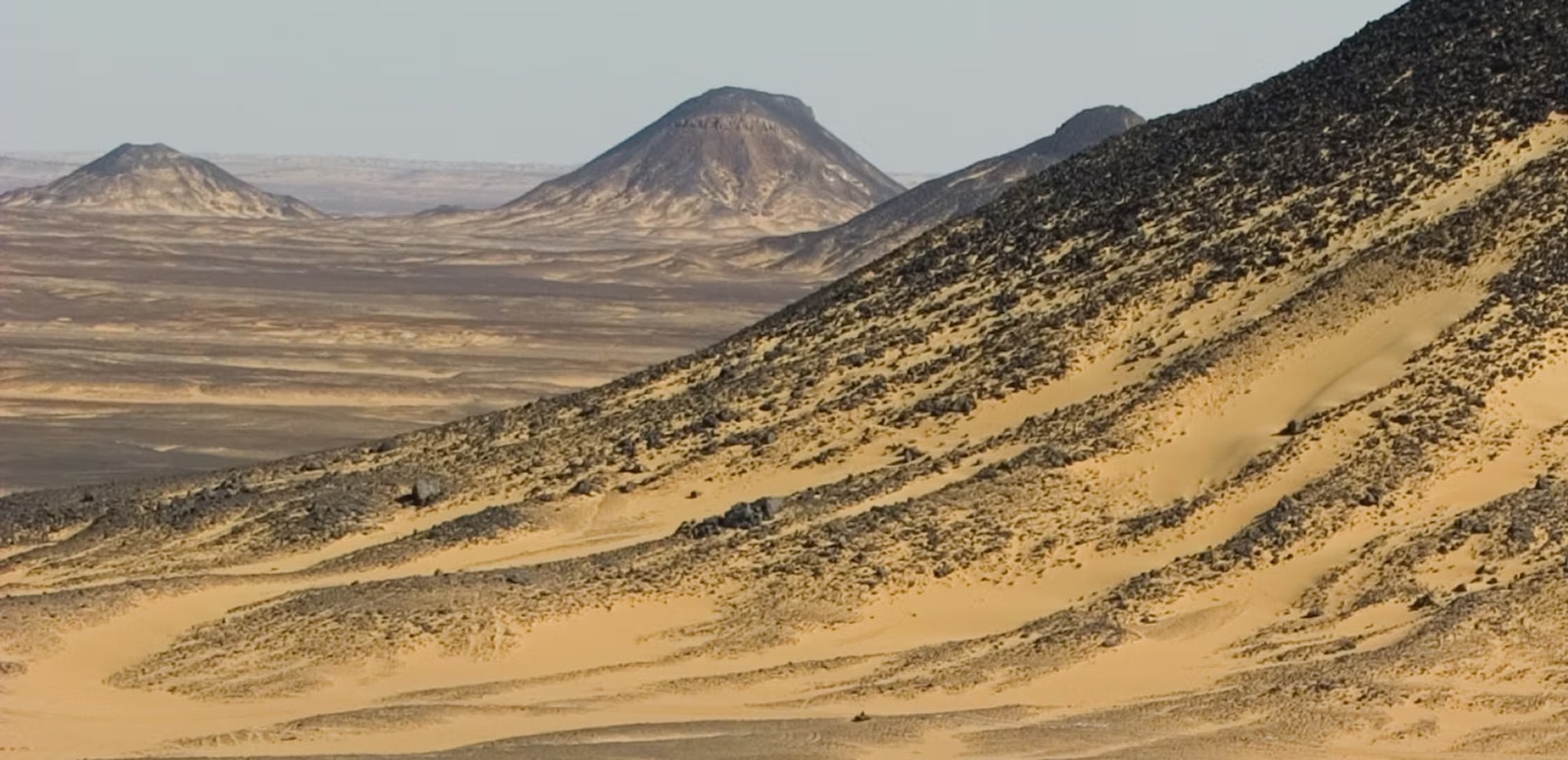 Black Desert Egypt