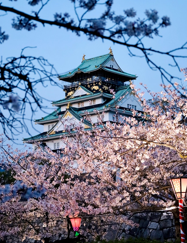 Japan Cherry Blossom Tour Feature
