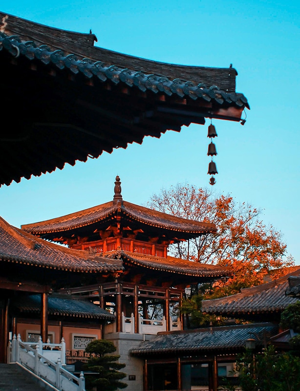 Japan Family Vacation Feature