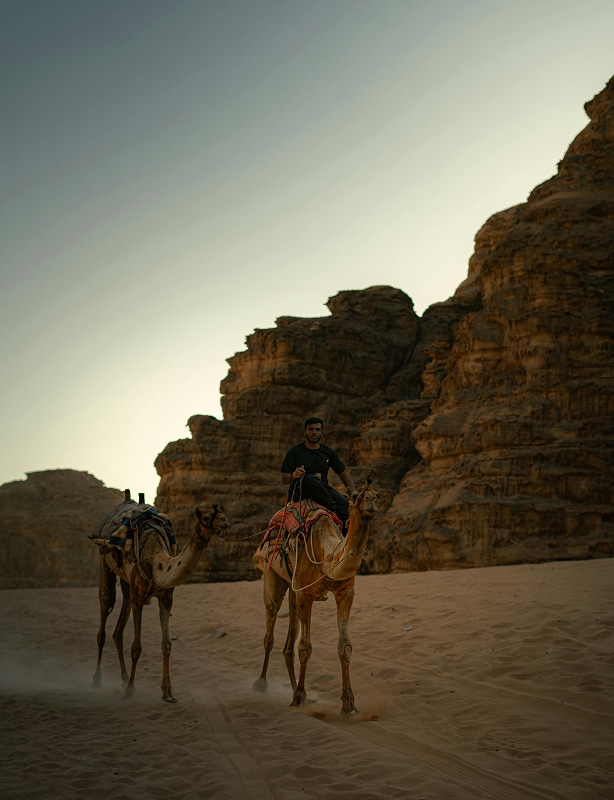 Jordan Vacation Dead Sea, Petra & Wadi Rum Tour Feature
