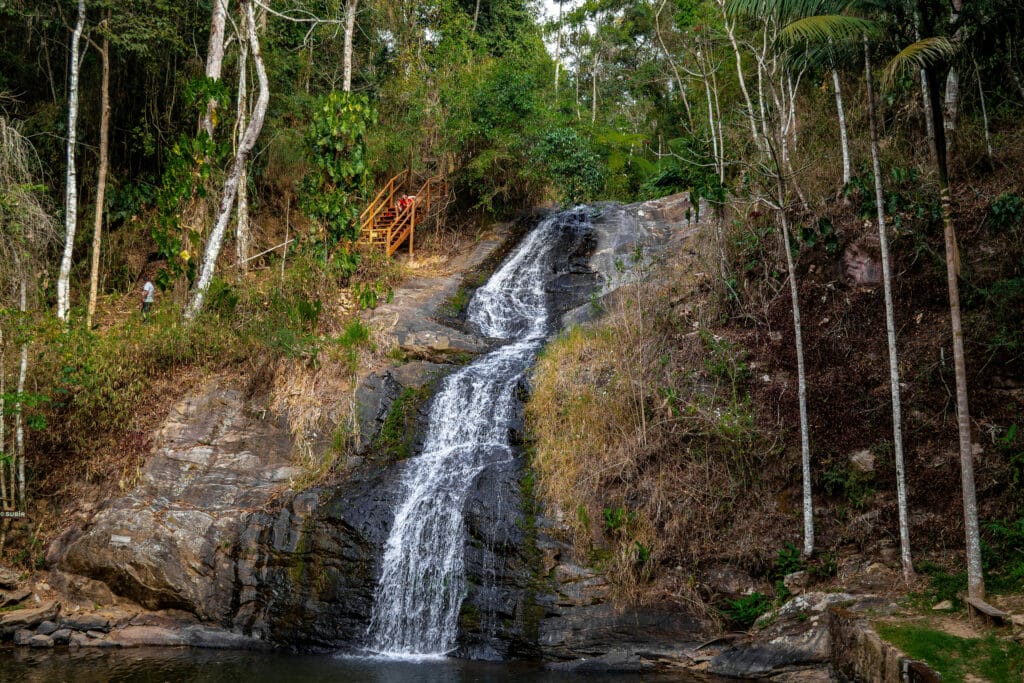Malaysia - Where Rainforests Breathe in Silence