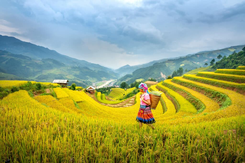 South Korea - Landscapes That Offer Perspective