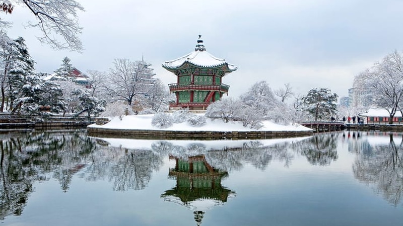 Winter (December–February) – Snowy Landscapes