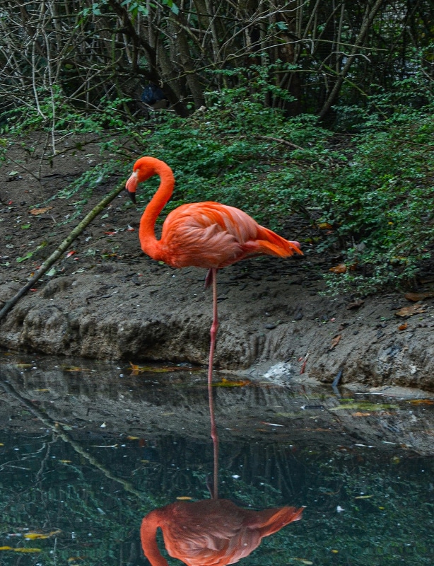 Yucatan Peninsula Nature Tour Feature