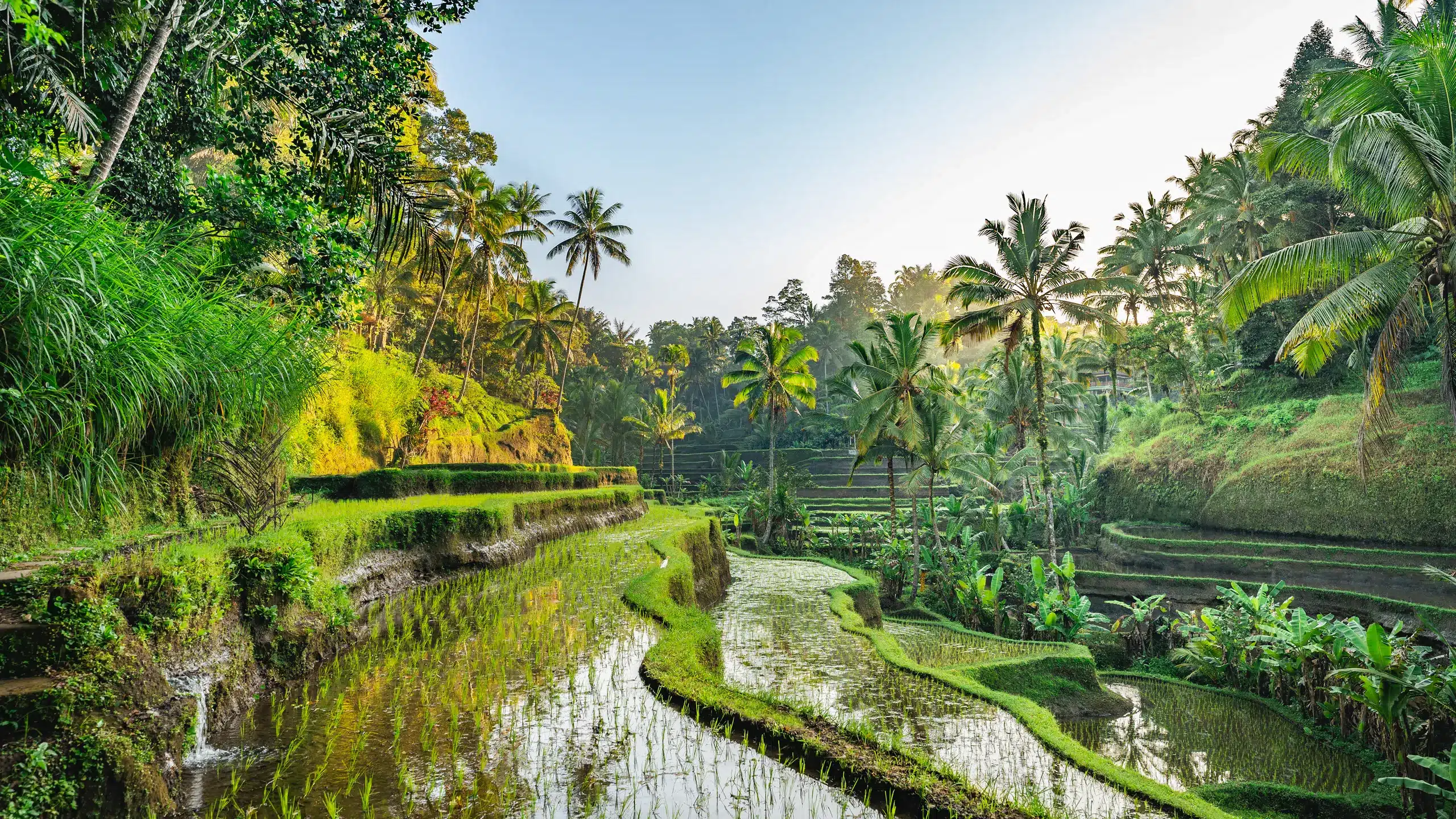 First Time in Bali