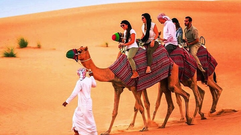 Camel Riding