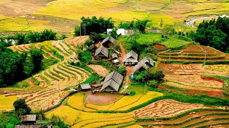 Ma Tra to Ta Phin Village — Cultural Sapa Trek