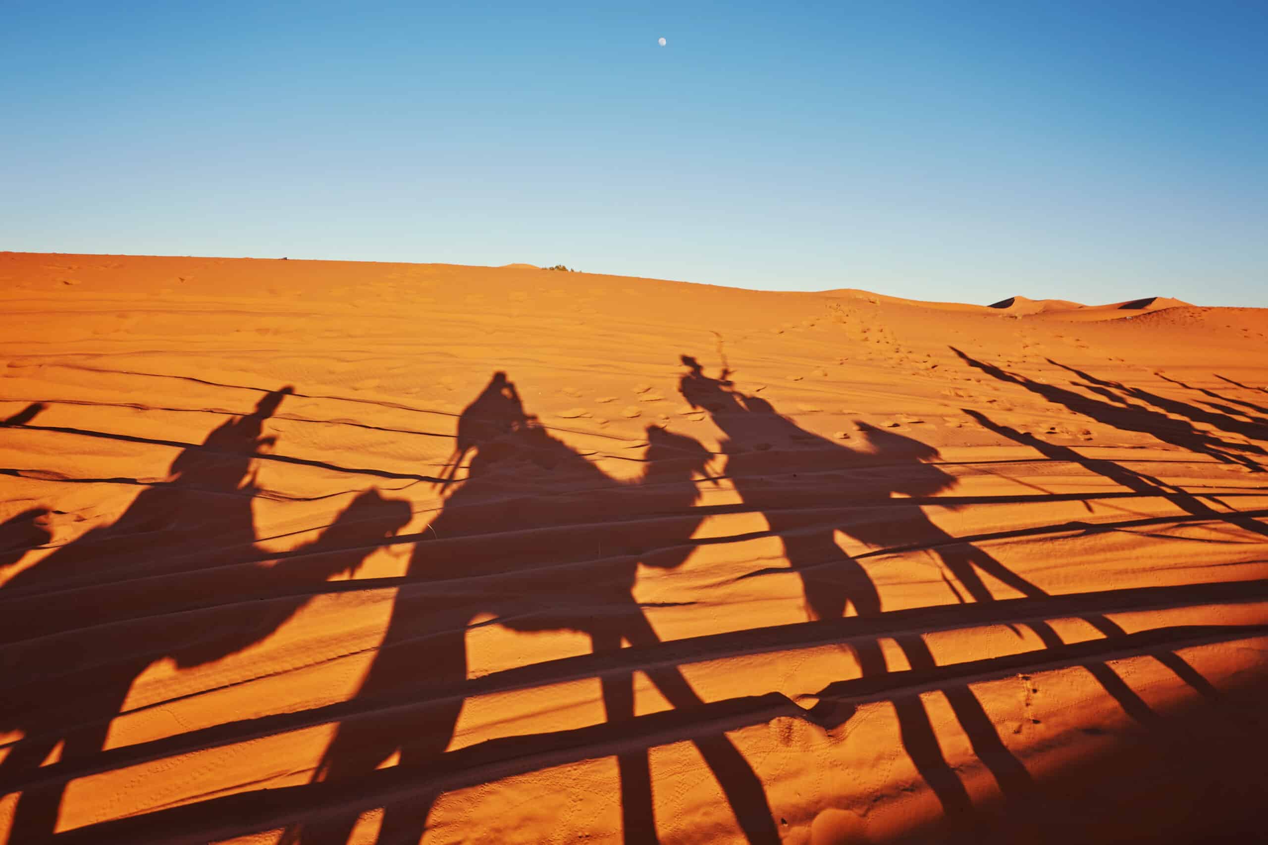 Thar Desert Rajasthan