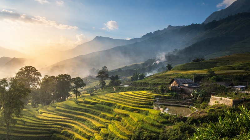 Sapa