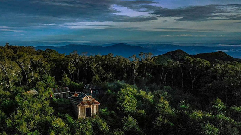 The Cardamom Mountains – Wild and Untouched