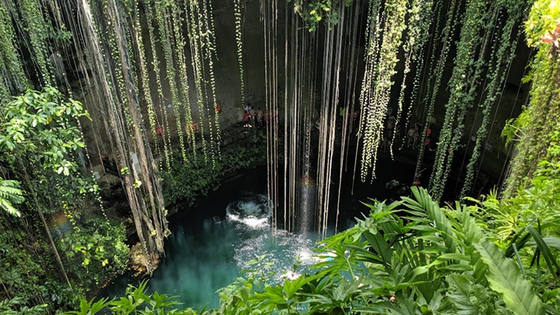 The Sacred Cenote