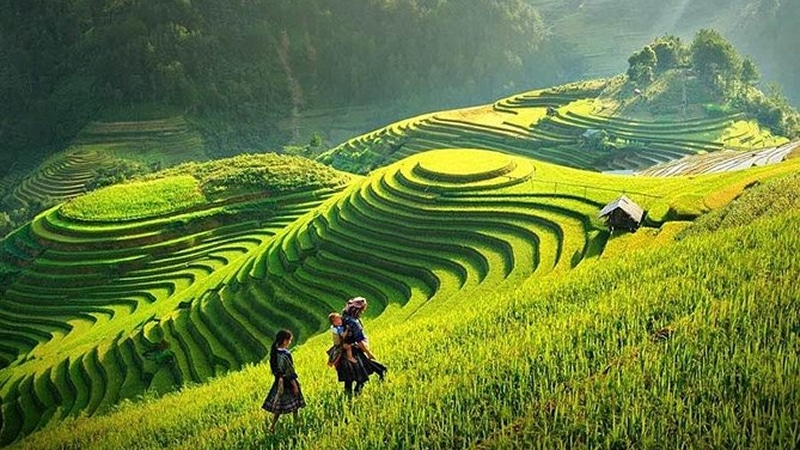 What Makes Sapa Trekking So Special