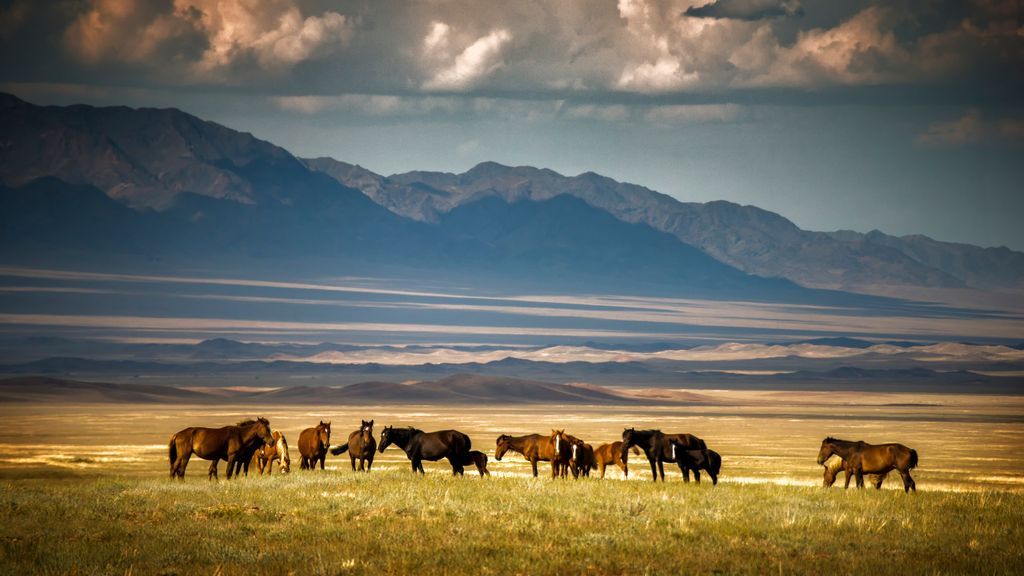 Kazakhstan