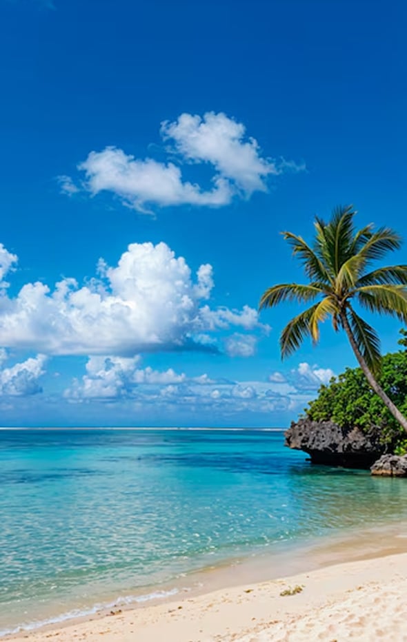 beachfront resort — international hotel booking Royal Air Trip