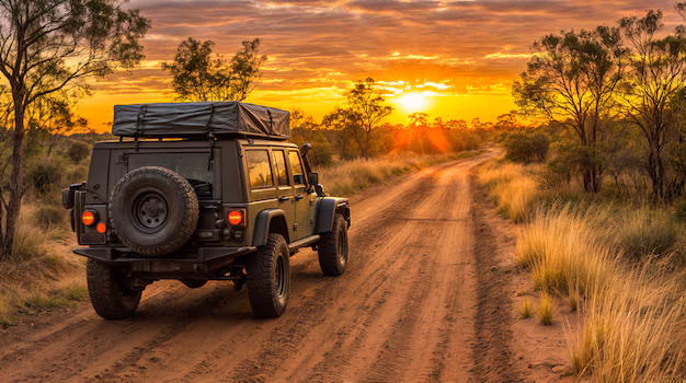 safari